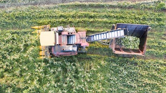 USDA Allocates $25 Million in Disaster Relief to North Carolina's Farmers and Rural Communities